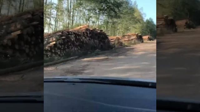 Медная Крыша /Медь в интерьере смотреть онлайн