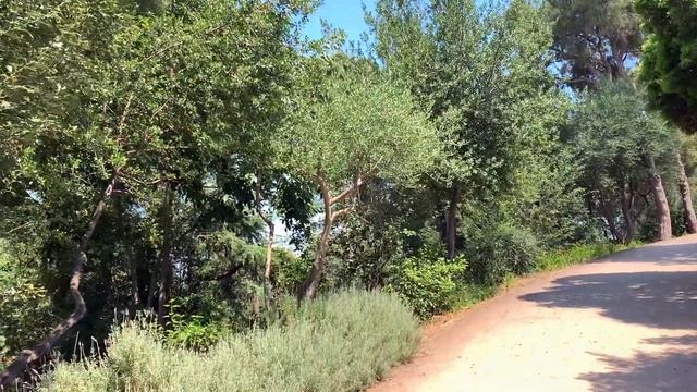 ПАРК ГУЭЛЯ БЕЗ ТУРИСТОВ И БЕСПЛАТНО. БАРСЕЛОНА ПОСЛЕ КАРАНТИНА смотреть онлайн