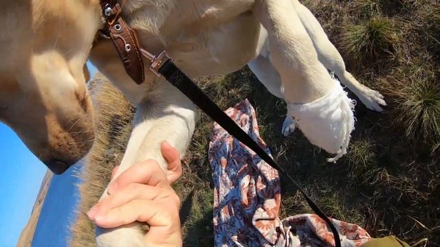 РЫБАЛКА НА ЖИВЦА, НА ДОНКИ, НА СПИННИНГ. ПРОБУЮ ЛОВЛЮ РАЗЛИЧНЫМИ СПОСОБАМИ, НО У ПОСЕЙДОНА СВОЙ ПЛА смотреть онлайн