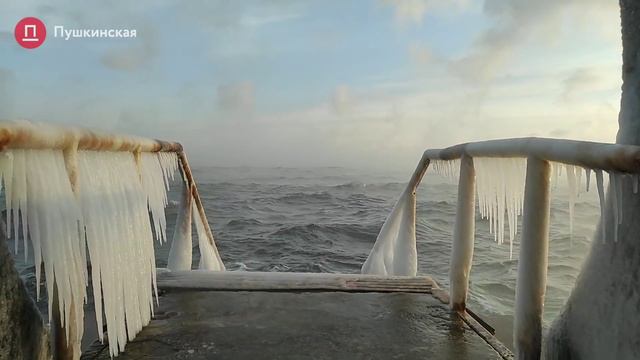 В Одессе запарило море - зима 2021 смотреть онлайн