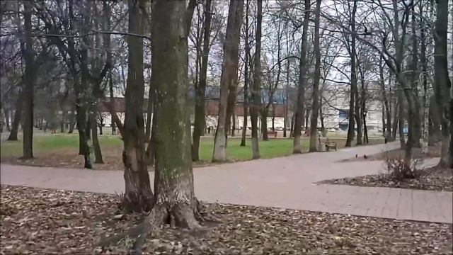 КАК ПОХУДЕТЬ? Белок при похудении, основные правила смотреть онлайн