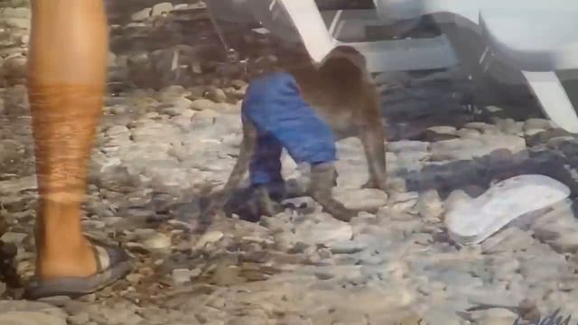 Точный счёт на футбол результат 100% смотреть онлайн