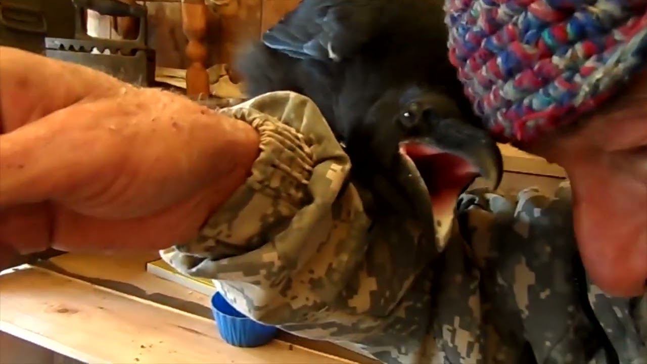 Про смыслы и связи, про чуйку и йоту. смотреть онлайн