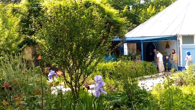 Крым, Судак, Топловский женский монастырь, цветы, плоды, деревья смотреть онлайн