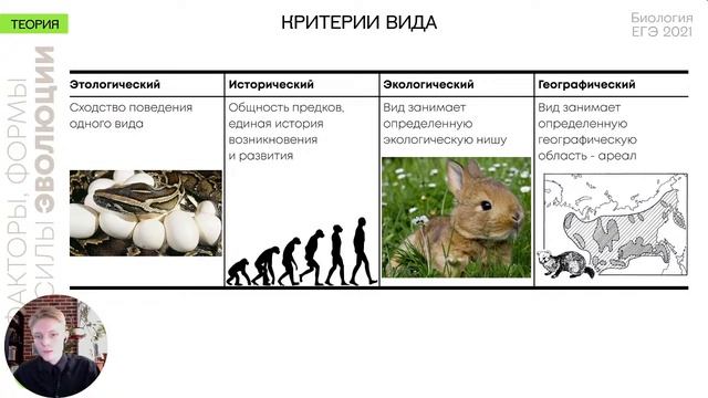 Биология ЕГЭ - Систематические категории. Это задание 11. Разберем понятие систематики. Таксоны. смотреть онлайн