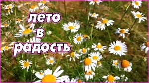 #81   Добавилось хлопот! В жару "работаем" в лесу с удовольствием!