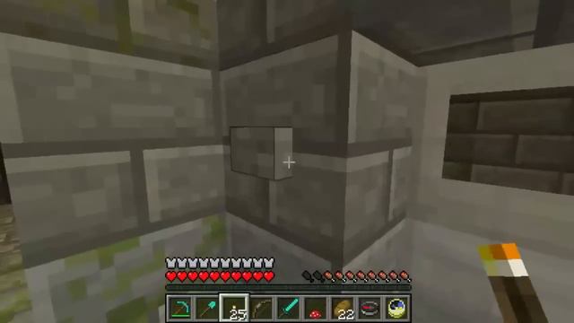 Minecraft -167- Stronghold - Further Investigation смотреть онлайн