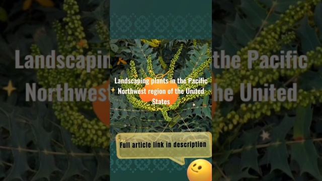 Mahonia Best Places To Plant #mahonia #shorts смотреть онлайн