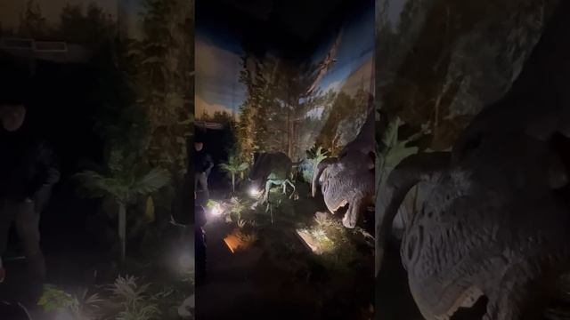 ?Какие мы сегодня красивые.Как жили раньше казахи?Красивая юрта? в меге. смотреть онлайн