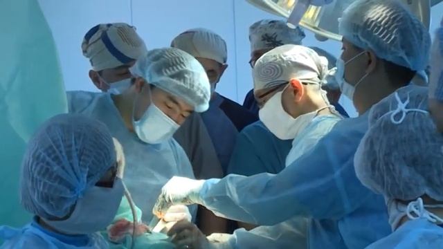 День медицинского работника ВКО. смотреть онлайн