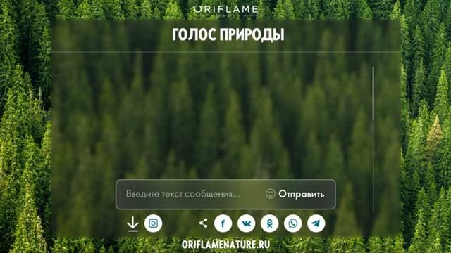 24.08.2021 Запуск компании 12-21 смотреть онлайн