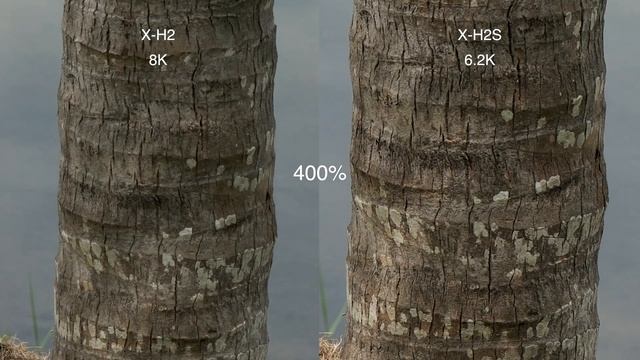 Fujifilm X-H2 vs X-H2S | RESOLUTION or SPEED? ($500 Difference) смотреть онлайн
