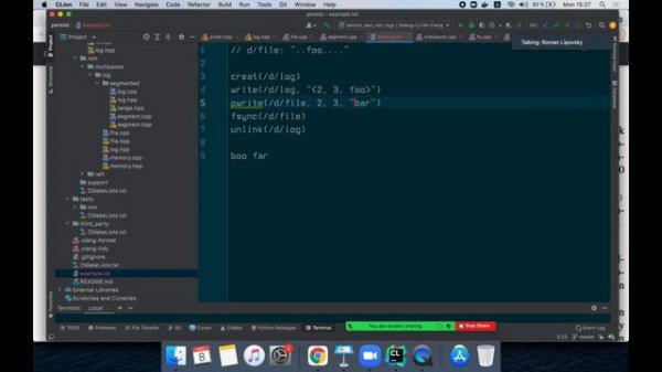 TFTDS Семинар 8 Crash consistency