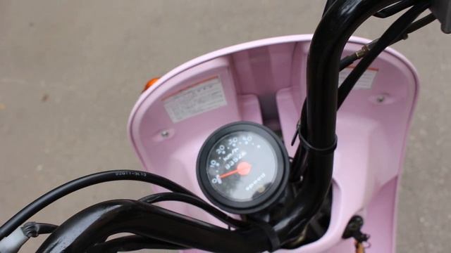 Suzuki Choi Nori смотреть онлайн