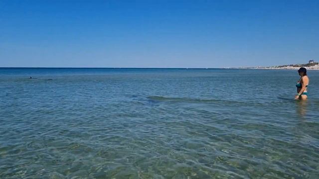 Дельфины на пляже Джемете , Анапа ) 07.06.2023 смотреть онлайн