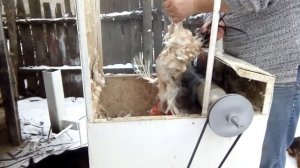 перосъемная машина для птицы  своими  руками 1часть