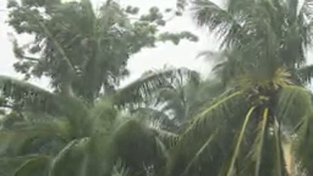 Расслабляющий звук дождя, видео для сна, релакс, медитация, анти стресс, пение птиц смотреть онлайн