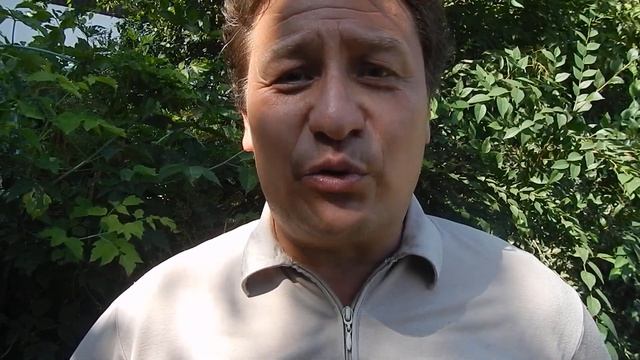 Как сделать Денежный Алтарь смотреть онлайн