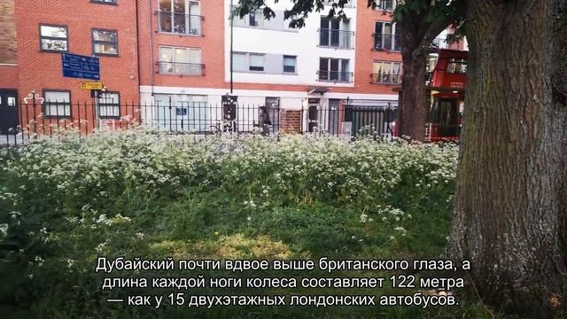 В Дубае открывается самое высокое в мире колесо обозрения смотреть онлайн
