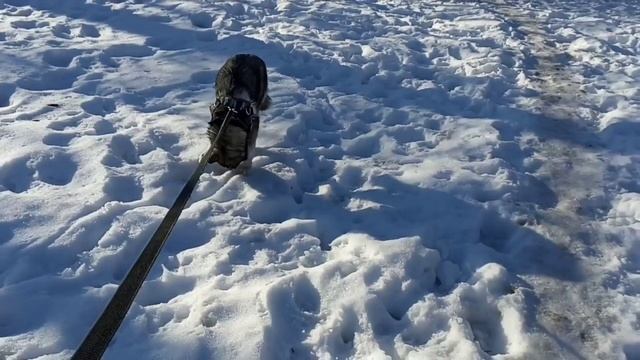 Стеклянные сугробы. Шаги уходящей зимы! смотреть онлайн