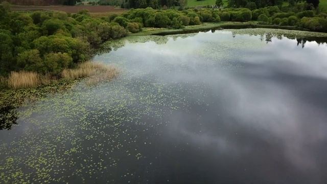Bird Photography With The Tragopan Floating Hide | What An Experience!