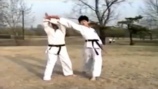 Hapkido Grandmaster Myung Jae Ok