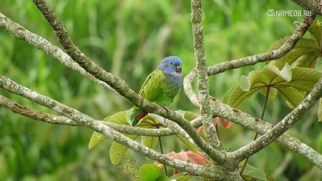 Самые крепкие пары по знаку Зодиака смотреть онлайн