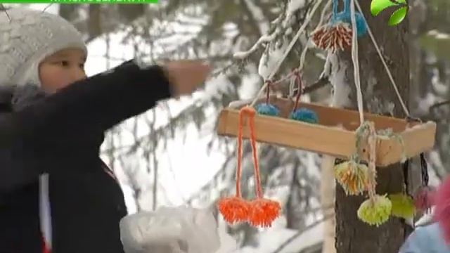 Встречать зиму весело. Есть такая традиция в Красноселькупе смотреть онлайн