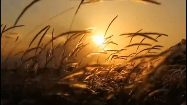 Татьяна Снежина Пусть я жила без времени... смотреть онлайн