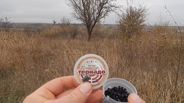ОБЗОР пуль для ПНЕВМАТИКИ ТОРНАДО 0,23гр / OVERVIEW of bullets for PNEUMATICS TORNADO 0.23gr смотреть онлайн