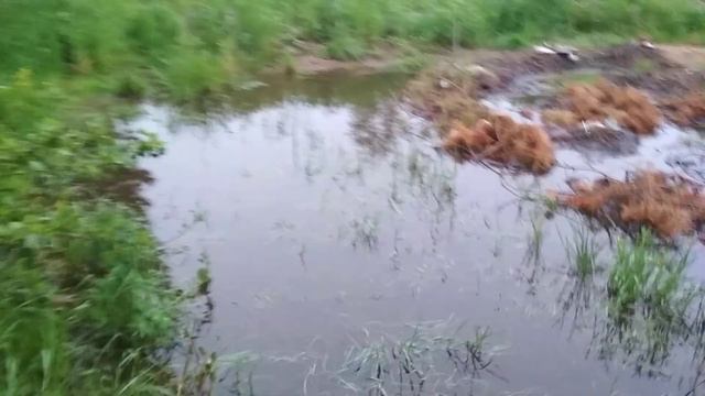 Продолжение болота часть 2 смотреть онлайн
