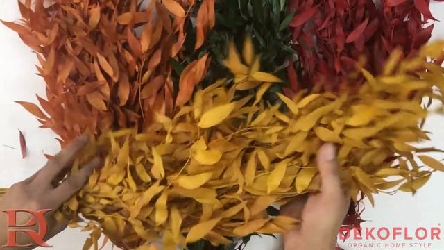 Стабилизированный Рускус желтый смотреть онлайн