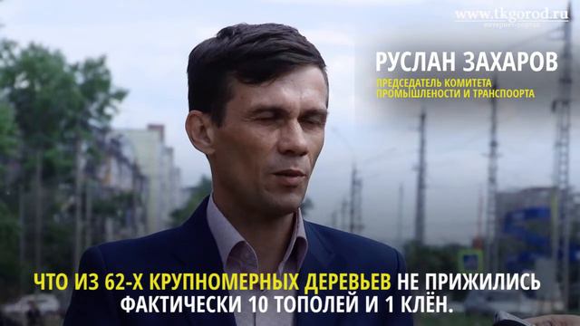 Замена неприжившихся деревьев на улице Обручева. Июнь 2018. Братск смотреть онлайн