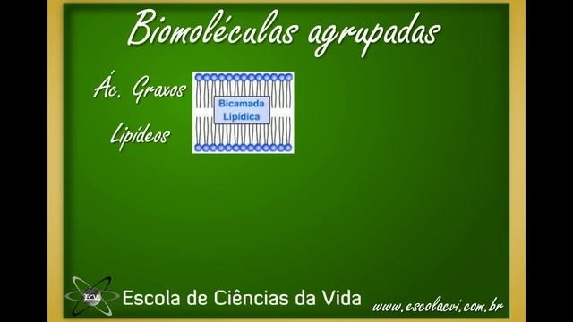 Biologia Molecular e Celular: Aula 1 - Conceitos Básicos смотреть онлайн