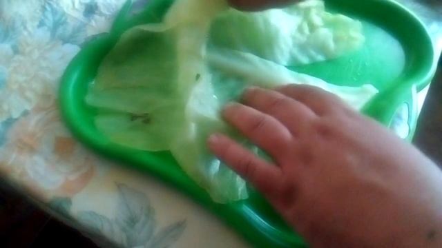 Цирковые Представления и Шоу