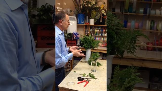 Building The Base Of Your Design With Leather Leaf Fern