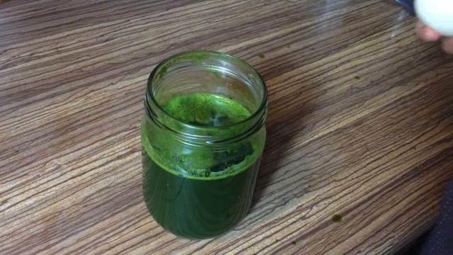 Как мы красили яйца без скорлупы Для пасхи! смотреть онлайн