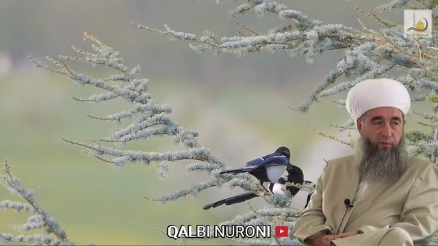 Эшони Нуриддинчон. Газал дар васфи Хазрати Умар (р). смотреть онлайн