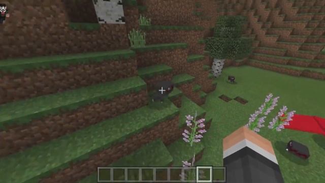 НОВЫЙ НАЗЕМНЫЙ МОБ В МАЙНКРАФТ 1.14 - Minecraft ОБЗОР смотреть онлайн