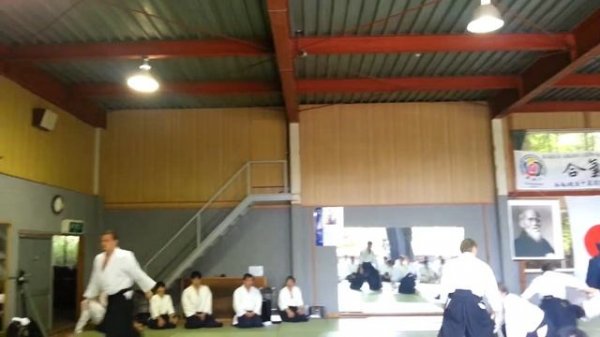 Igarashi dojo 30 anniversary, Shinwakai / Выступление клуба Шинвакай, Япония 2013