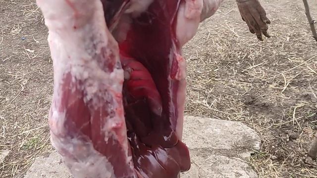 Нутрия. Какой выход мяса???