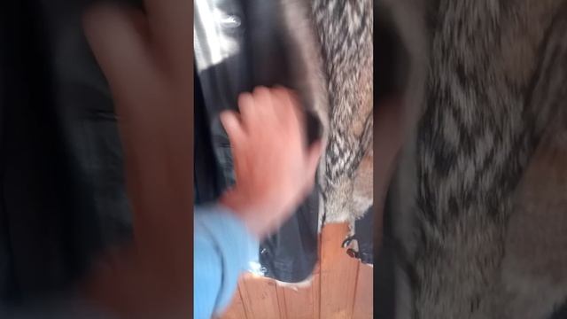 Кожаная куртка с мехом волка смотреть онлайн