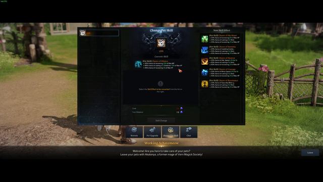 Legendary Pet Lost ark смотреть онлайн