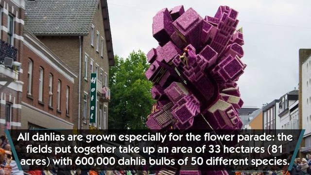 Best GIGANTIC flower sculptures at Bloemencorso Zundert festival смотреть онлайн