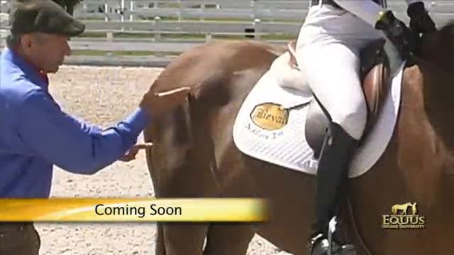 Will Simpson on Monty Roberts Equus Online University смотреть онлайн