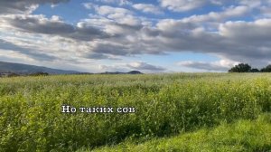 Соработники у Бога. Елена Ваймер