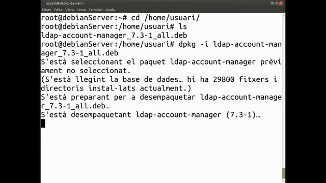 Instal·lació de ldap account manager a un servidor Debian смотреть онлайн