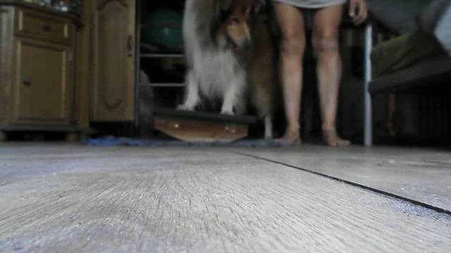 Балансировочная доска смотреть онлайн