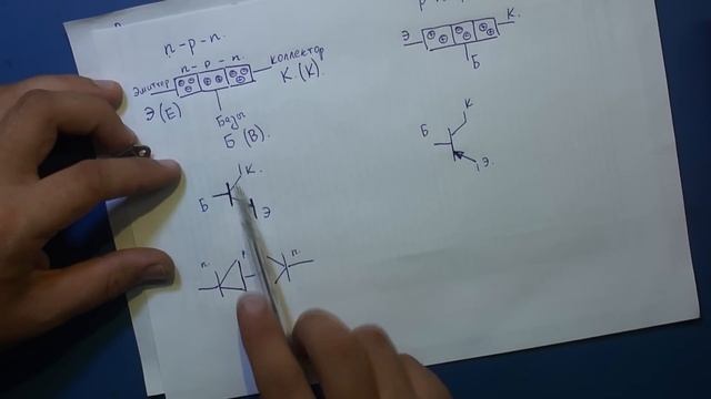 Грибные путешествия: открытия в каждой поездке