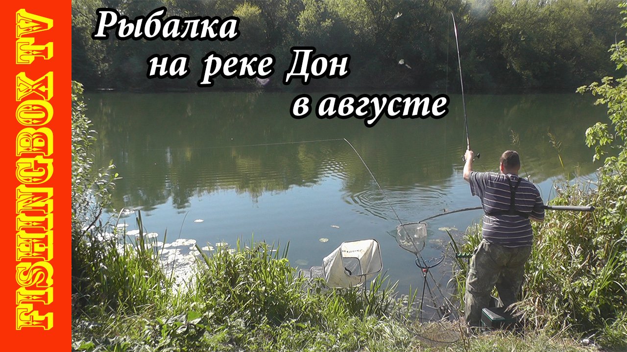 В поисках трофейного леща. Часть 3.mp4 смотреть онлайн